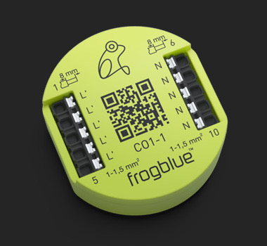 frogblue frogConnect1-1 – To discharge leakage current / residual voltage