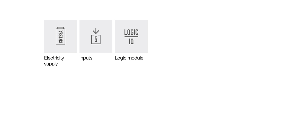 frogContact5-BAT Image 2