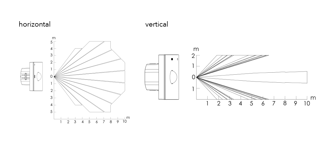 frogMotion1-1 Image 4
